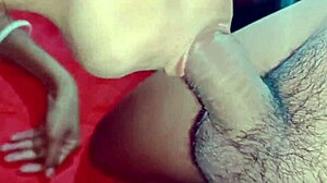 soteli behan sucks cock eagerly and rubs it on her wet slit