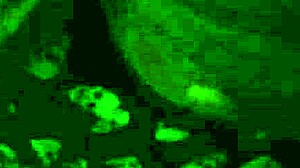 Me And Jess Share Intimate Moments Together