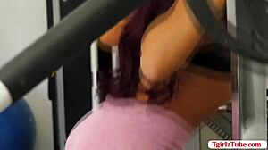 two shemales engage in activity