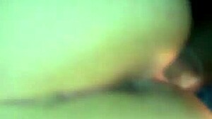 Azula SFM Rule 34 Compilation