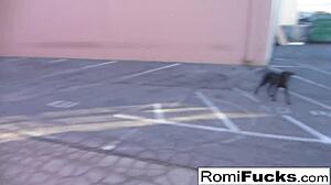 What if Romi Rain and Dani's Big Tits and Asses Collide in Lesbian Oral Fun Under Black Lights?