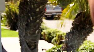 Black Stepdaughter Sucks and Rides with Intense Passion