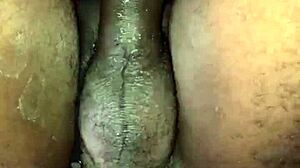 i love pattyzinha fucking black guys like a trans girl