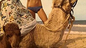 I love this vintage beauty and the beast story