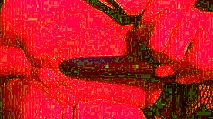 Can this POV anal fuck make your wife scream?