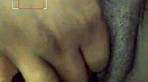 Black phat pussy getting playful fun 😈