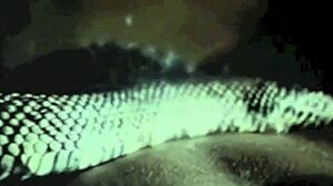 I love this vintage beauty and the beast story