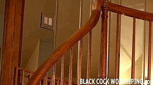 Big Black Cock Fucks Pussy