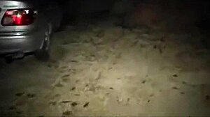 Amateur Ebony Deepthroats Big Black Cock In Car Backseat Doggystyle Fuck