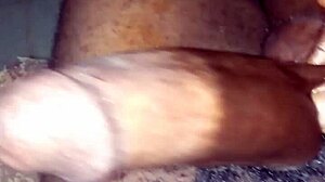 Cute Teen 18+ Stepsister Mia Grand Rides Stepbrother's Cock