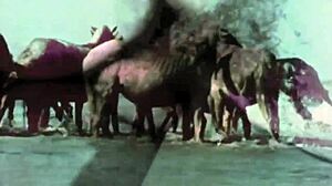 Vintage Taboo Pussy Bent Over Outdoors