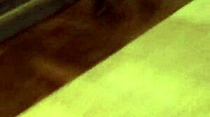 What are you doing in the public park?