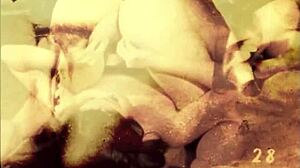 My secret vintage life unfolds with retro cumshots in hairy scenes.