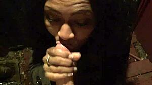 Anita gives outdoor blowjob to ex-boyfriend