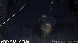 in this bdsm scene, she whips him before a rough blowjob leading to orgasm