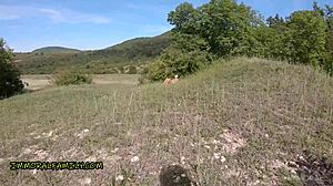 Huge Tits Sofia Lee Craves Anal on Beach!