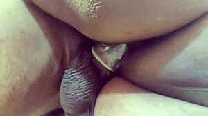 hot threesome amazing guy two sexy girls