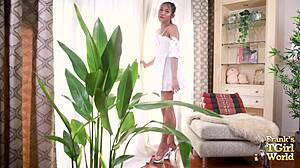 franks tgirl world sweetie pie jerks off her big cock!!