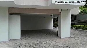 one minute of sociology work turns into a tasty fuck