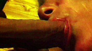 Slut girlfriend sucks cock