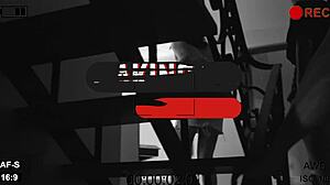 In the backroom of invaders 2, thalia senna and leiticias ferola get wild with maurinho.