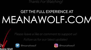 helpful meana wolf in fantasy role