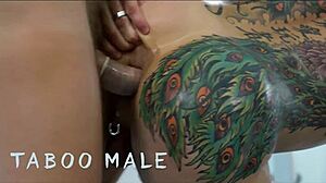 riley mitchell pounds archer crofts' tattooed ass hard 😈