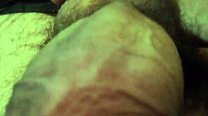 Amateur video of gentle caressing him in a soothing way