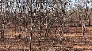 Sia Lust Puts Things In Her Mouth In Reality