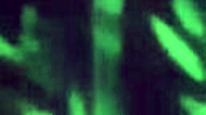 The Girl Next Door Amanda Jones Shares Her Story