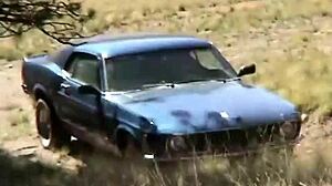 Blonde babe fingers her pussy outdoors?