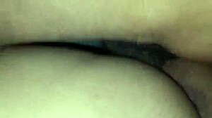 Download Video From September 2, 2017