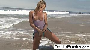 Hot Dahlia Sky Solo Masturbation Compilation!