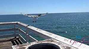 Banging Pornstar Summer Vixen Pov Pussy Eating Blowjob and Fucking Her Hard!