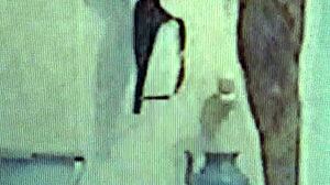 Pakistani Woman In Lahore Meets A Man For A Passionate Encounter, Avoiding Any Familial Connections.