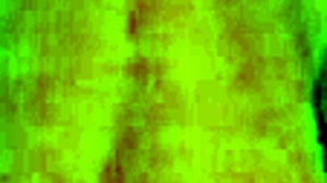 curvy latina enjoys passionate encounter with mature partner in homemade setting