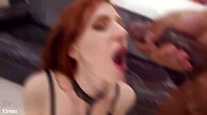 Lina Arian Takes 4on1 Rough Anal with Deep Gapes and Cum Swallow