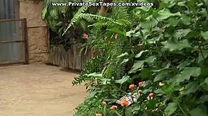 Brunette Strips in Stockings Before Intense Anal Fucking