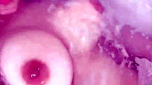 Internet sluts perform hardcore blowjobs showcasing big tits and teen 18+ bodies in suggestive display