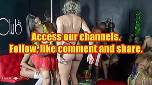 brazilian trans women indulge in carnival orgy