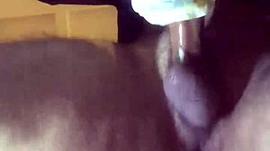 homemade toy fuck with horny amateurs