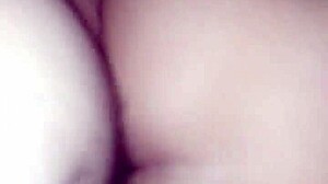 do you want it in the ass