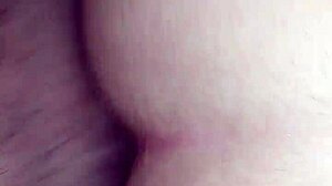 do you want it in the ass