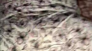 10 inch dick stretching tight wet pussy in interracial action