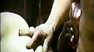 how i trained my dizzy blond daughter with toys