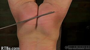 Hardcore Sadomasochism Porn Scenes
