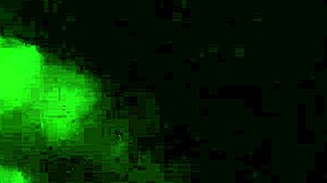 Is This Whore Ready For Her Slutty Adventures?