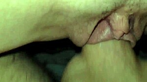 My girlfriend takes control, riding my hard cock with confidence