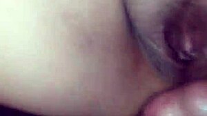 do you want it in the ass