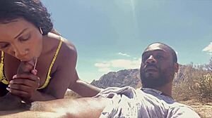 Did you almost get caught riding that black cock in the desert?